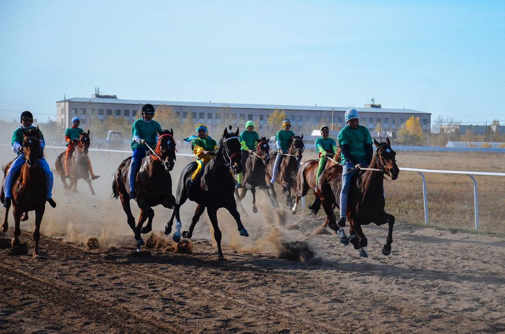 Атынан ат үркетін тұлпарлар
