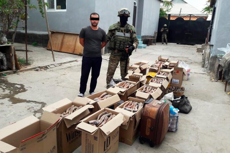 Президент: Қаскөйлер заңға сәйкес қатаң жазаға тартылуы тиіс