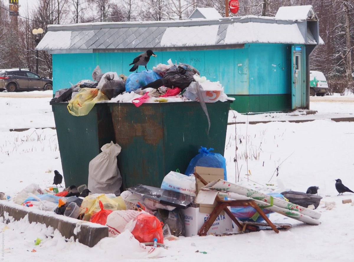 Қостанайда қоқыс жәшігіне тастаған нәрестенің анасы әлі табылған жоқ