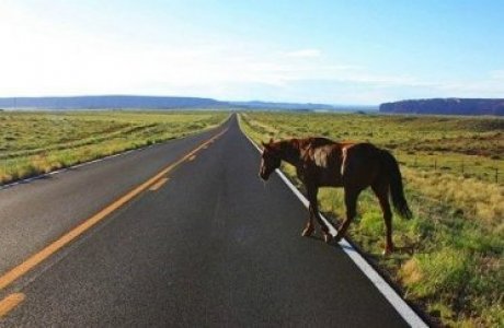 Жол үстінде қатер көп