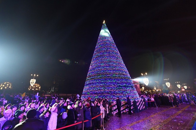 Алматыда шырша орнатылды