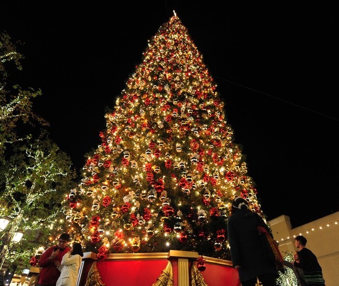 Талдықорғанды жаңа жылдық безендіруге 24 млн теңге жұмсалмақ