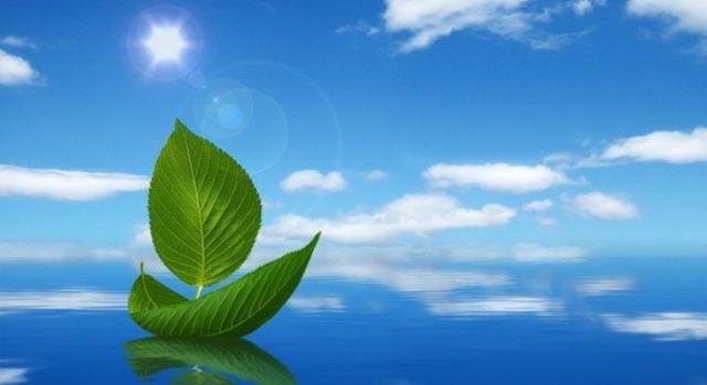 Ақиқаттың айнасы – «Адалдық алаңы»