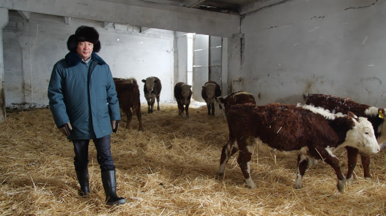 Қолжетімді қаржы ауыл шаруашылығын дамытуға зор үлес қосады