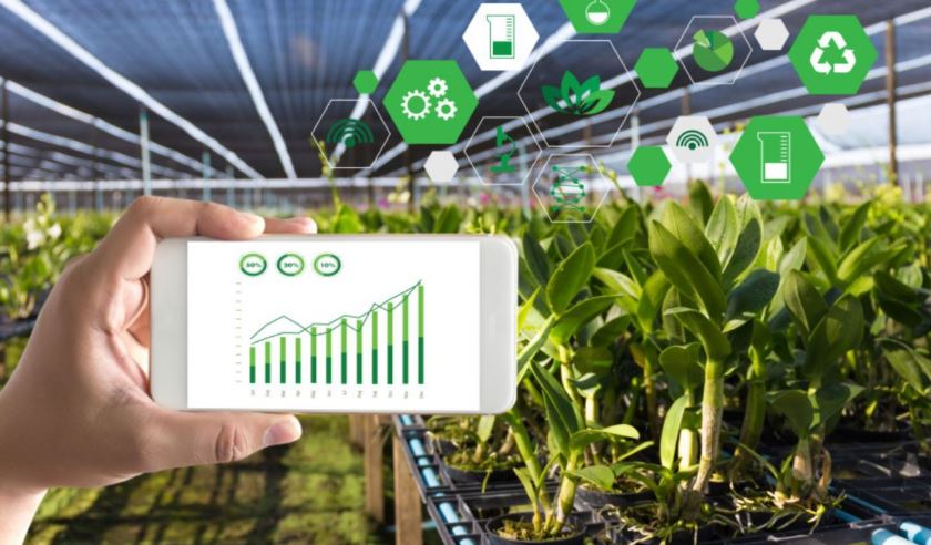 2019 жылы 16 сандық шаруа қожалық және 6 smart-ферма құрылды