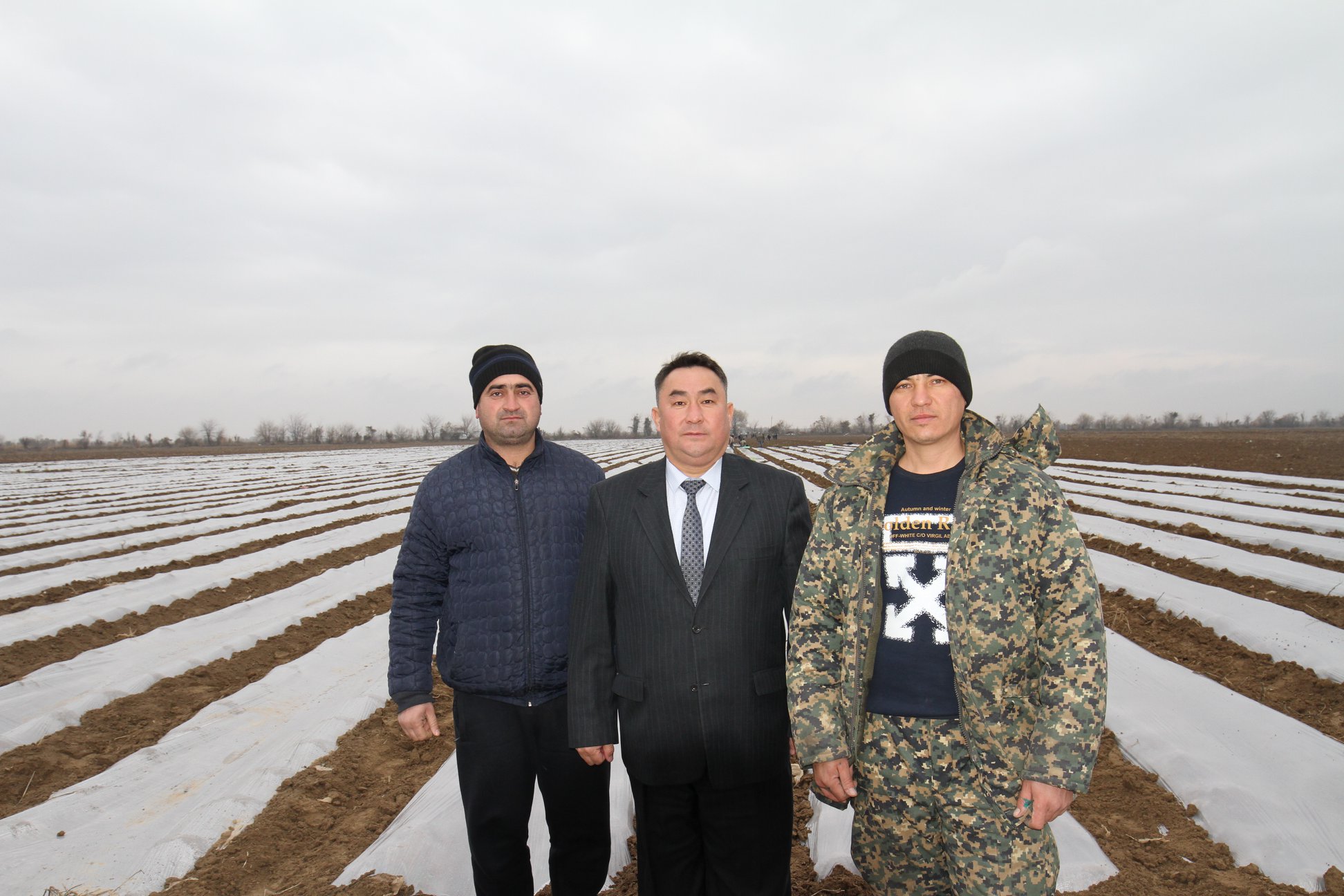 Мақтааралда диқаншылық басталды