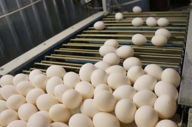 10 жыл субсидияланған саланың жыры