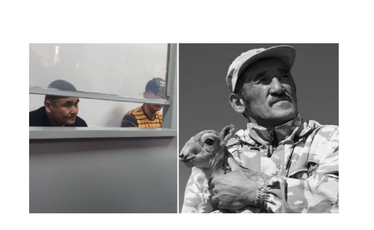 Киіктің киесі жібермейді