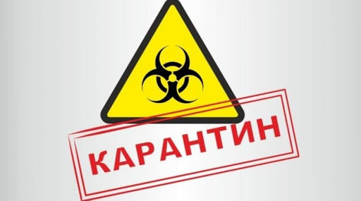 Карантиннен келетін зардап мол