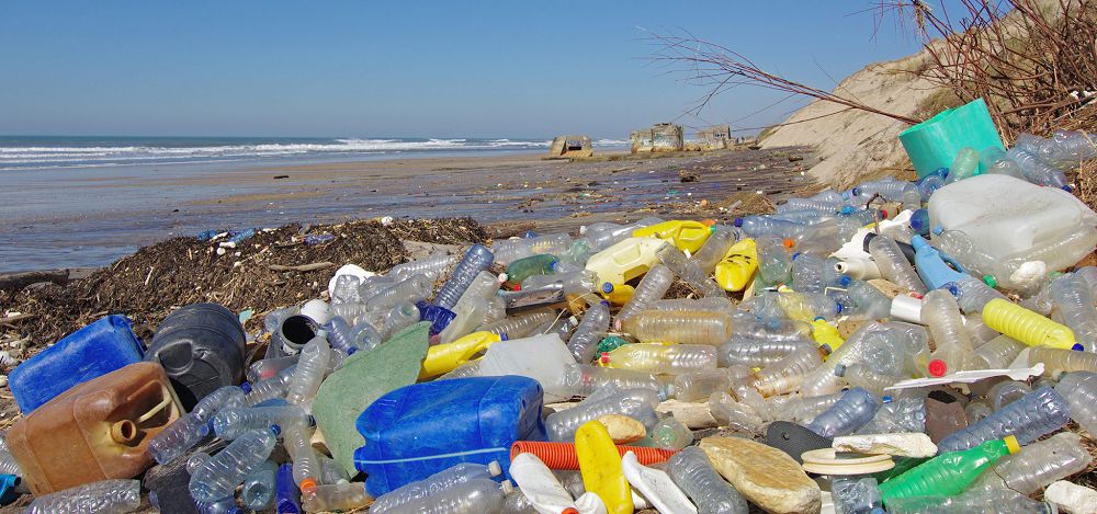 Экология: нақты талдау оң шешім қабылдау кепілі