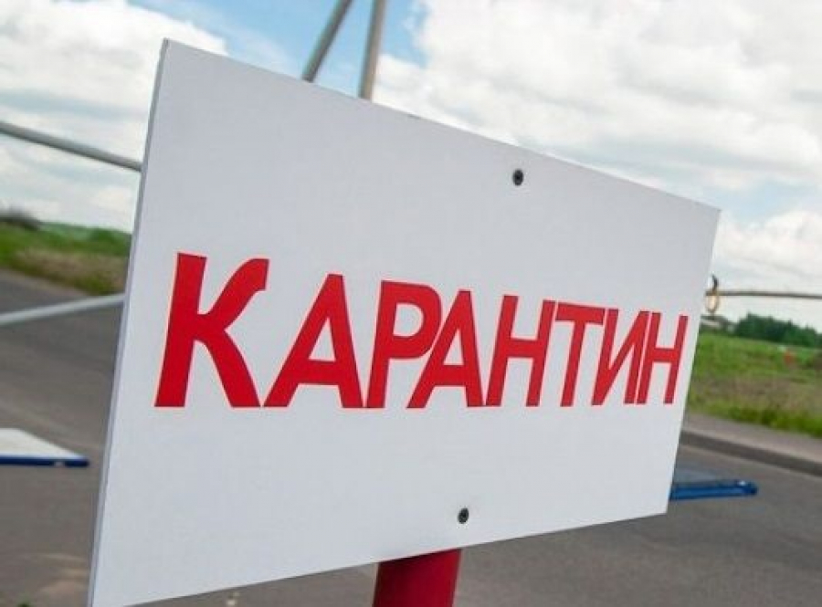 Облыс індетпен күресте ең алдыңғы орында