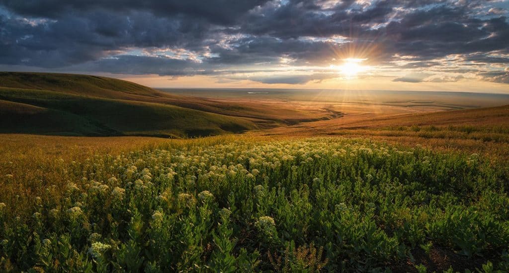 ...Түкті кілем, көк кілем