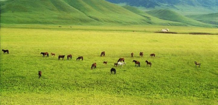 Жайылым проблемасын талқылады