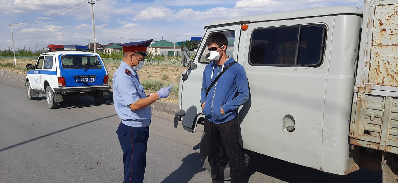 Қызылордалық полицейлер өткен жылғы мал ұрлығын ашты