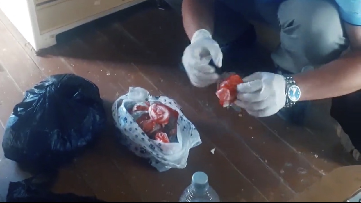 Шымкенттік әйел тоңазытқышында "марихуана" мен "гашиш" сақтаған