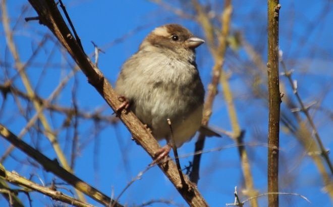 Бүгін бірнеше өңірде аптап ыстық болады