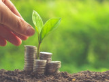 Қазақстан "жасыл" инвестицияларға жағдай жасауда