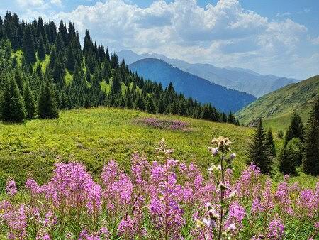 Еліміздің басым бөлігінде өткінші жаңбыр жауады
