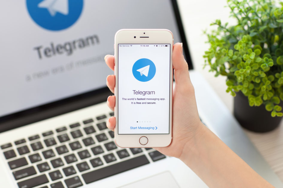 Карантин кезіндегі заңбұзушылықтарды хабарлауға болатын Telegram-бот іске қосылды