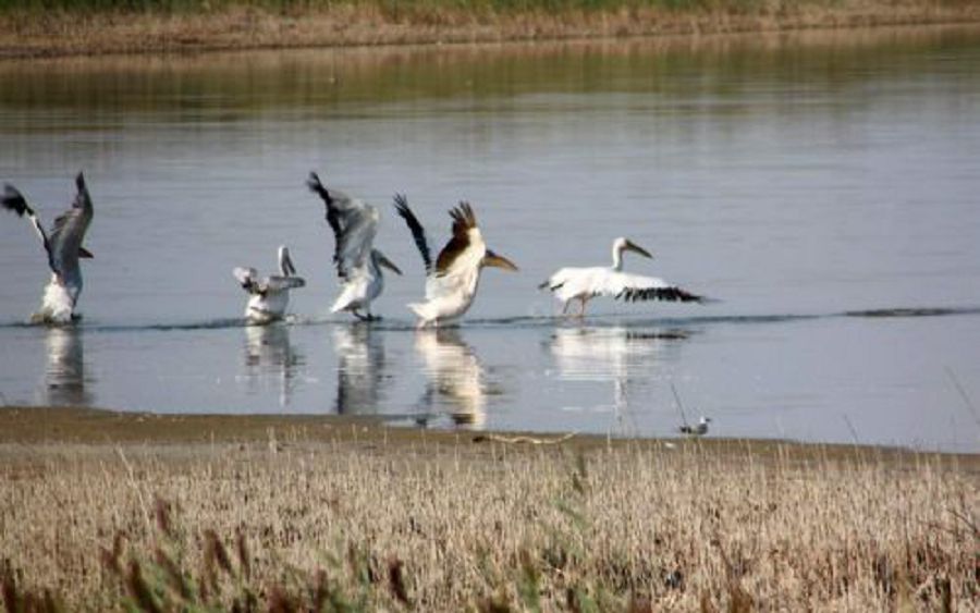 Ырысты Ырғыз