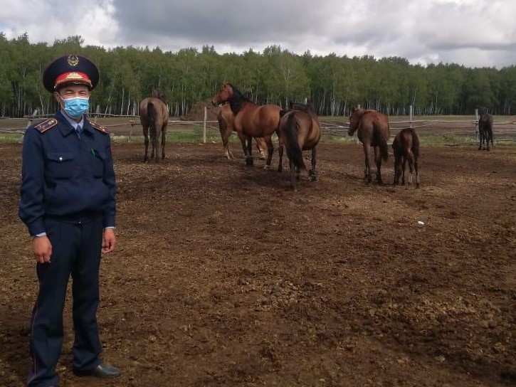 Мал бағудың жаңа ережелері