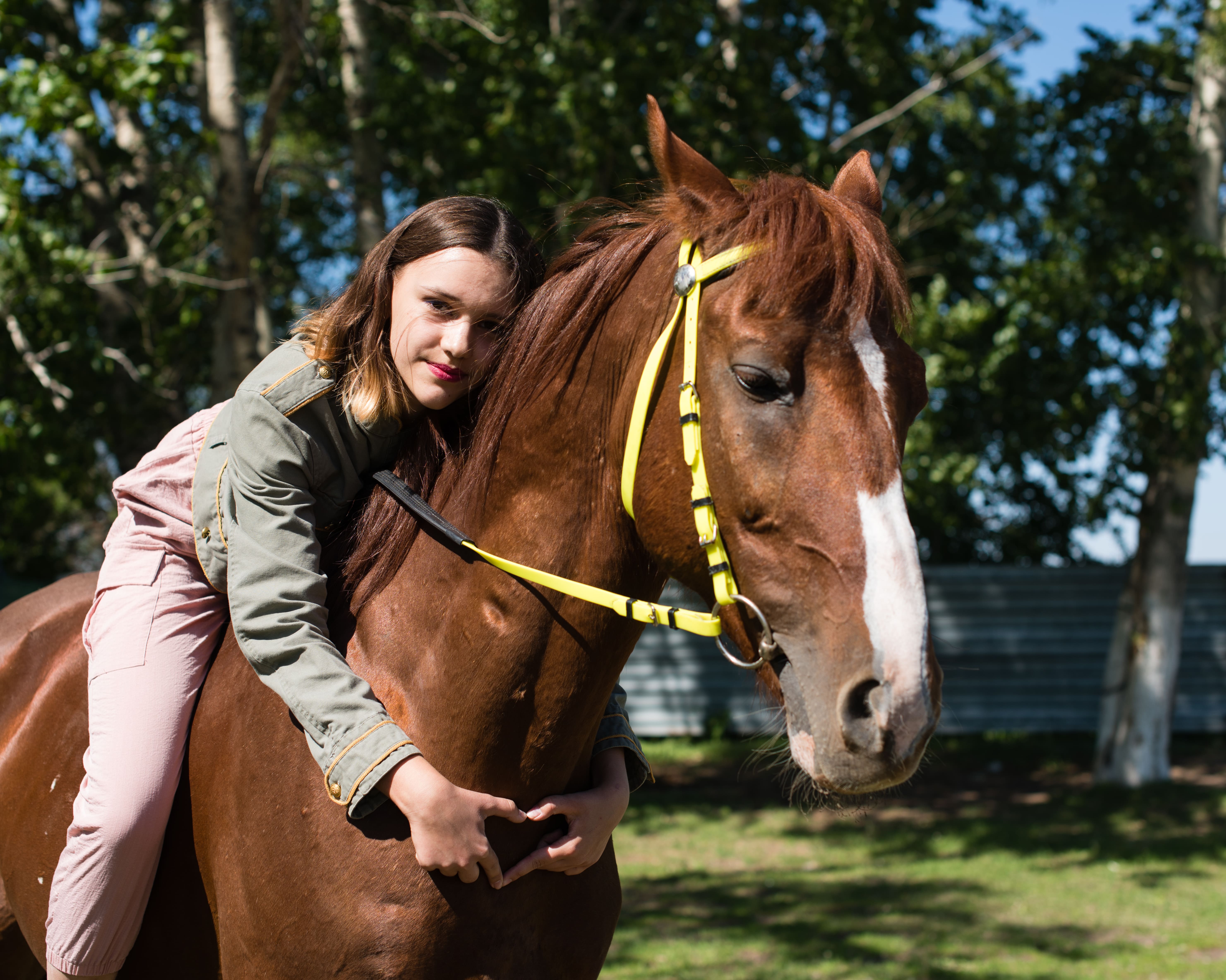 Үміт желкені