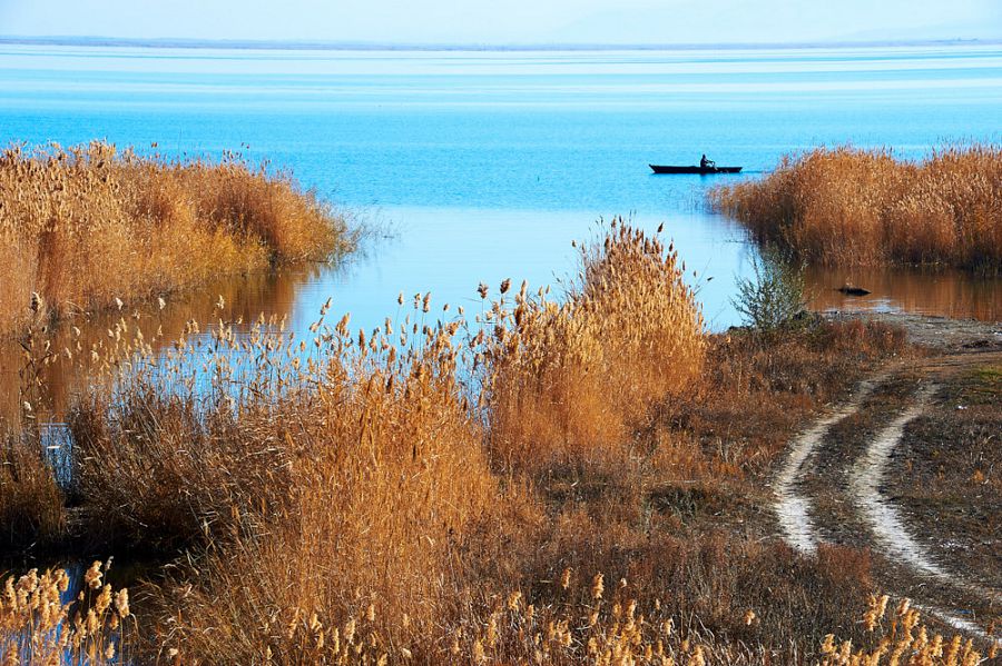 Балықшылардың басынан бұлт сейілсе игі