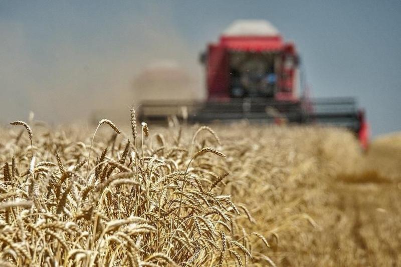 Жетісуда жиын-терін науқаны қарқынды жүріп жатыр