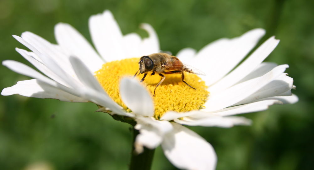1 қыркүйекке арналған ауа райы болжамы