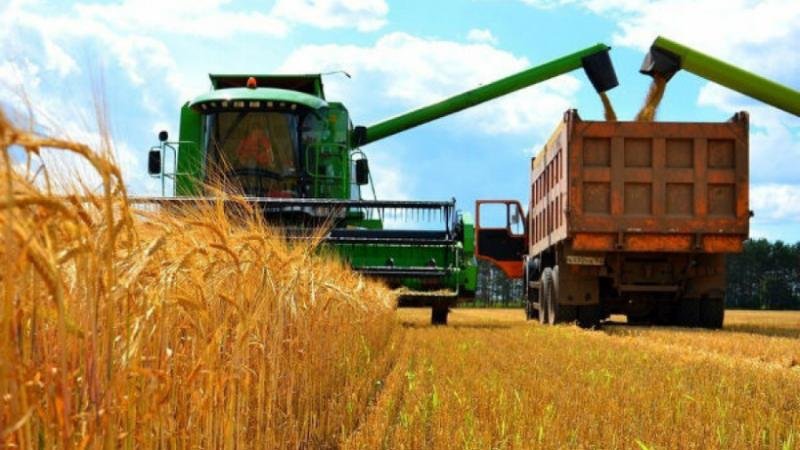 Ақмола облысының диқандары егін орағын аяқтады