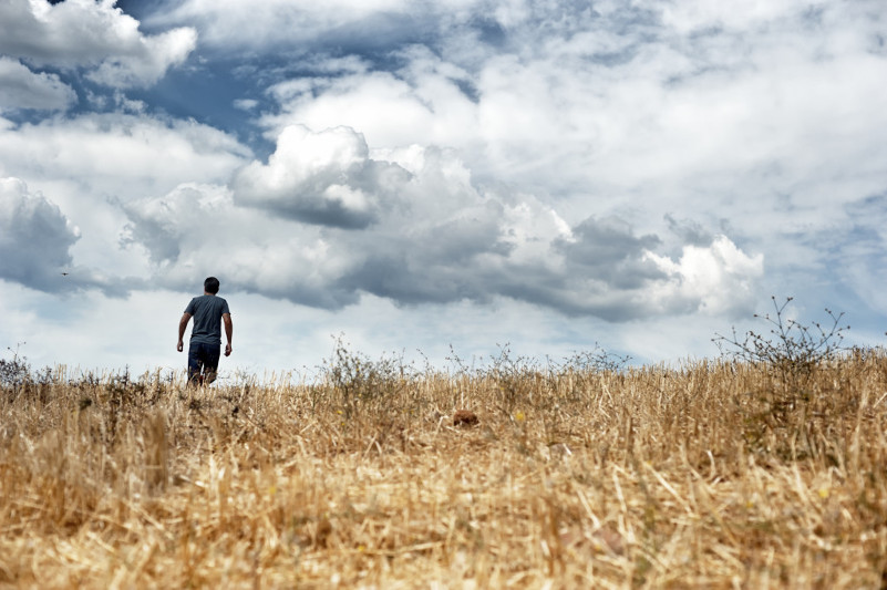 Атырауда қожалық жұмысшысы малымен бірге адасып кеткен