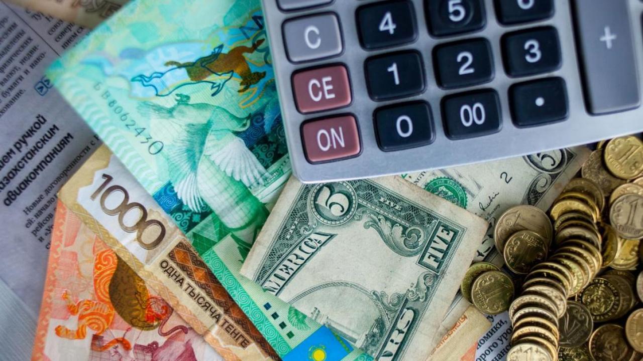 Індетке қарсы күреске 22,9 млрд теңге жұмсалды