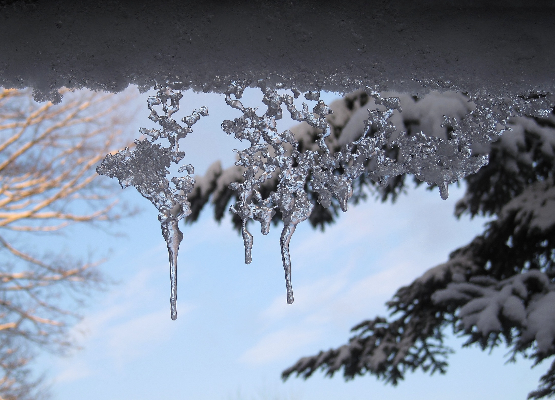 Бүгін үш өңірде үсік жүреді