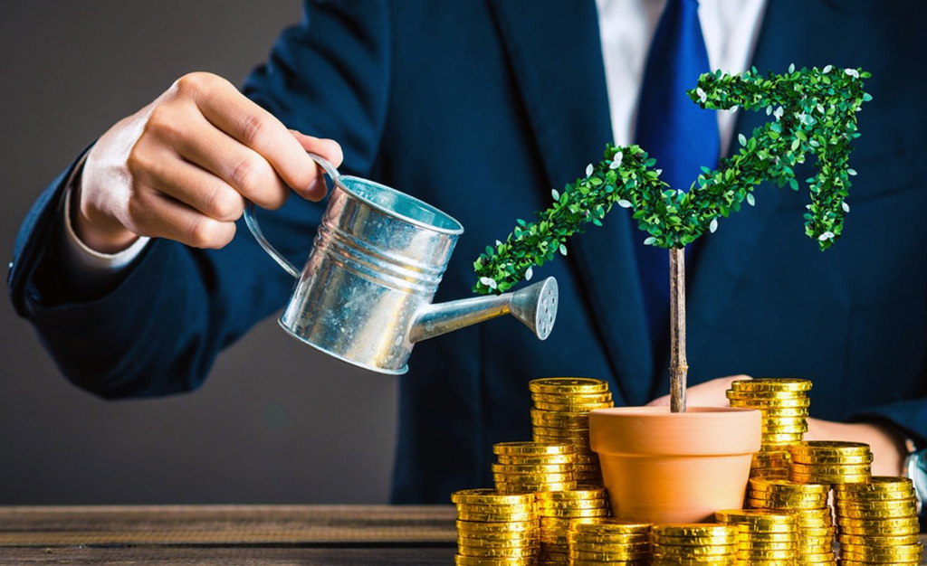 21 млрд теңге жеміс бақтарын дамытуға бағытталды