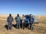 Қостанай облысында қызыл кітапқа енген қазды атқан браконьерлер ұсталды