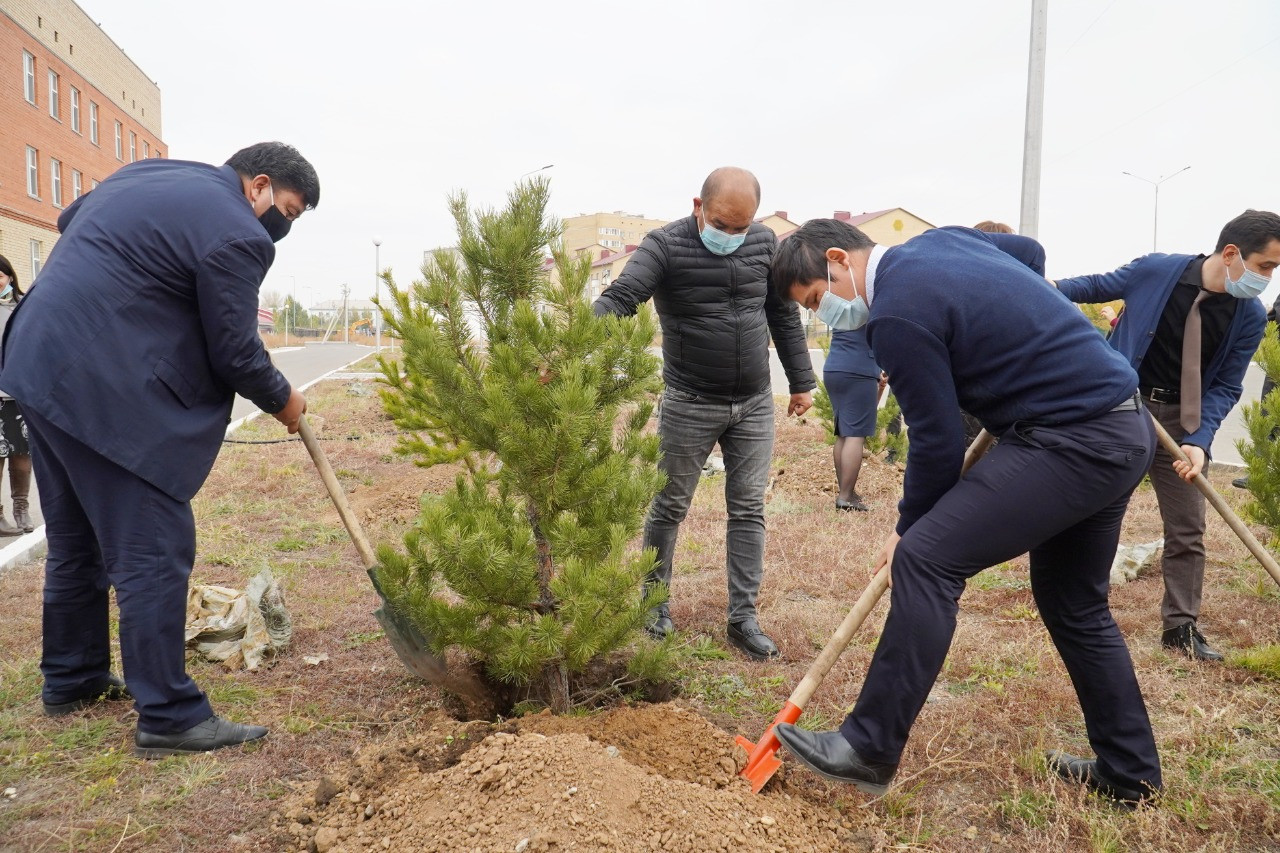 Нұр-Сұлтанда Ұстаздар күніне орай ағаштар отырғызылды