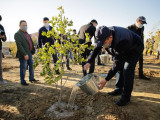 Атыраудағы саябақта 1000 жеміс ағашы өседі