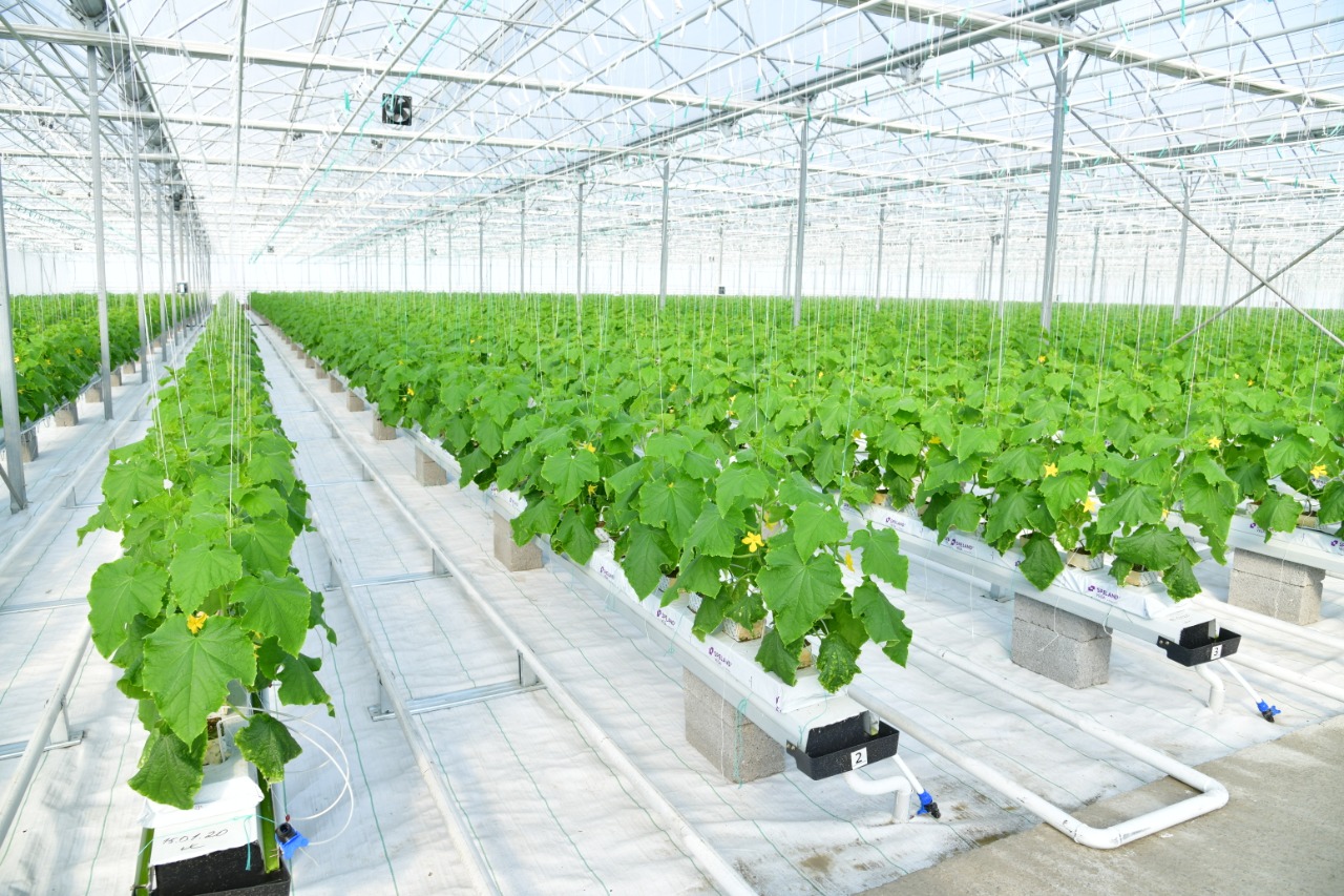 Шымкенттің экономикалық өсім динамикасы екі жылда қалай өзгерді?