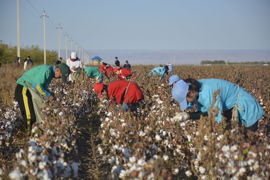 Жастар сайыста шыңдалады