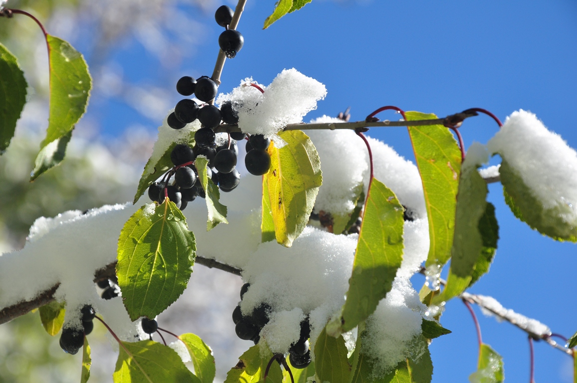 Ертең елімізде ауа райы қандай болады?