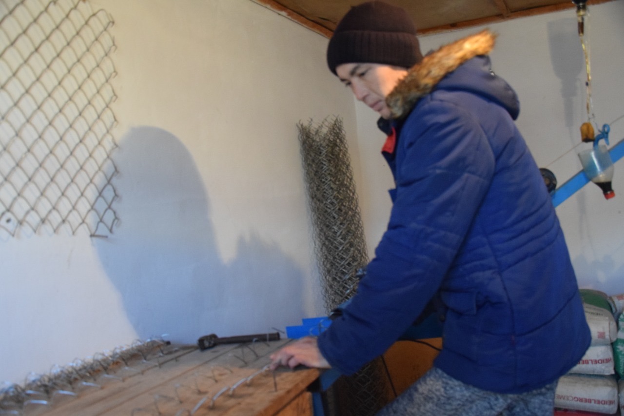 Бағдарлама көмегімен бизнес бастады