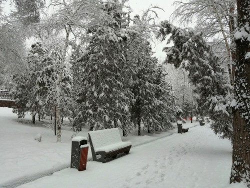 Алматы көшелерінен 230 текше метр қар шығарылды