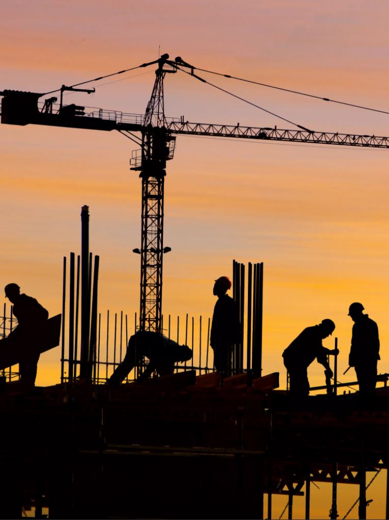 Тас қалаушыны да «Қызыл кітаптан» іздеп жүрмейік