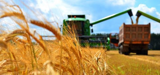 Өңірде өнім өңдеудің өрісі кең