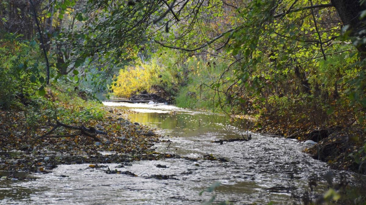 Тылсым табиғат тамсандыра түседі