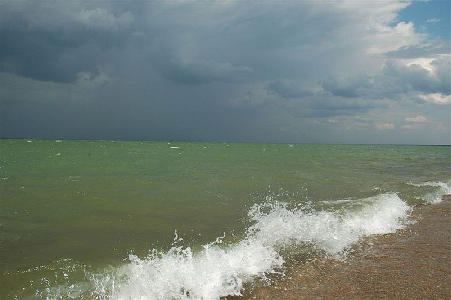 Шалқар көлін сақтап қалудың басты жолы