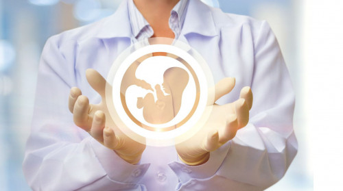 «Аңсаған сәби»: Жасанды ұрықтандыру 7 есеге көбейді