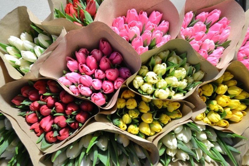Өзіміздің емес, өзгенің гүліне құмармыз...