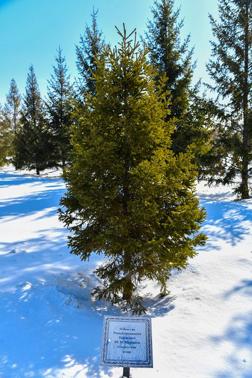 Атадан мал қалғанша, тал қалсын