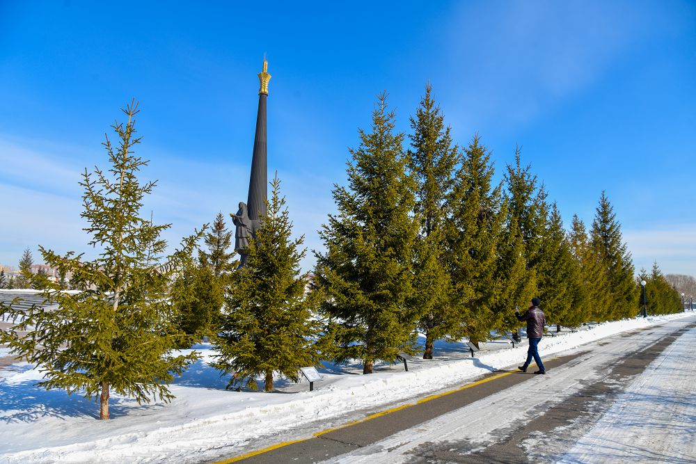 Шетел басшылары еккен ағаштар